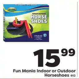 Weis Markets Fun Mania Indoor or Outdoor Horseshoes offer