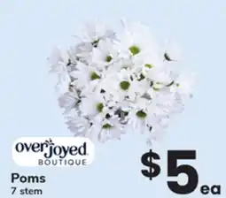 ACME Poms offer
