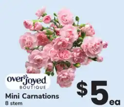 ACME Mini Carnations offer