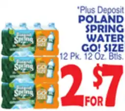 Bravo Supermarkets POLAND SPRING WATER GO! SIZE offer