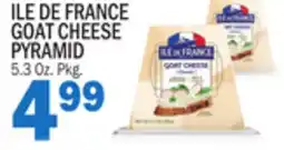 Bravo Supermarkets ILE DE FRANCE GOAT CHEESE PYRAMID offer