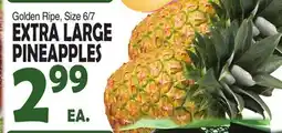 Bravo Supermarkets EXTRA LARGE PINEAPPLES offer