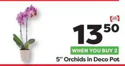 Weis Markets 5 Orchids in Deco Pot offer
