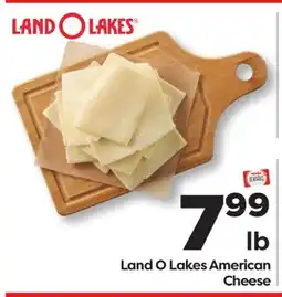 Weis Markets Land O Lakes American Cheese offer