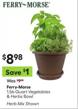 Lowe's Ferry-Morse 1.56-Quart Vegetables & Herbs Bowl offer