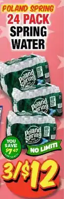 Western Beef POLAND SPRING 24 PACK SPRING WATER offer