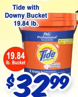 Western Beef Tide with Downy Bucket offer
