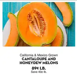 Bristol Farms California & Mexico Grown CANTALOUPE AND HONEYDEW MELONS offer