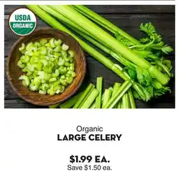 Bristol Farms Organic LARGE CELERY offer