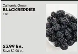 Bristol Farms California Grown BLACKBERRIES offer