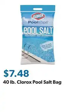 Sam's Club 40 lb. Clorox Pool Salt Bag offer