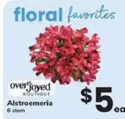 Safeway Alstroemeria offer