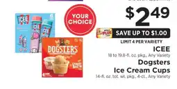 ShopRite ICEE / Dogsters Ice Cream Cups offer