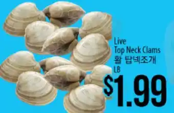 Hmart Live Top Neck Clams offer