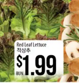 Hmart Red Leaf Lettuce offer