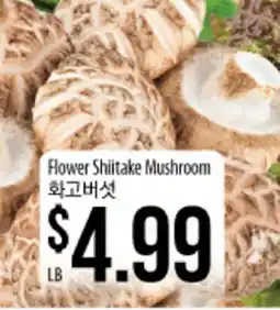 Hmart Flower Shiitake Mushroom offer