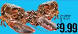 Hmart Live Lobster offer