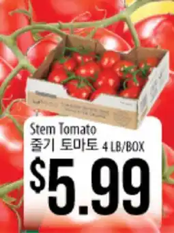 Hmart Stem Tomato offer
