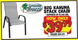 Ollie's SARASOTA BREEZE BIG KAHUNA STACK CHAIR offer
