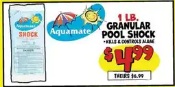 Ollie's AQUAMATE 1 LB. GRANULAR POOL SHOCK offer