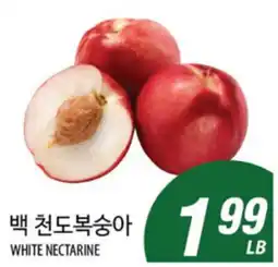 Joong Boo Market WHITE NECTARINE offer