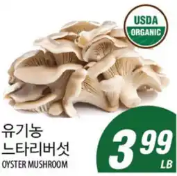 Joong Boo Market OYSTER MUSHROOM offer