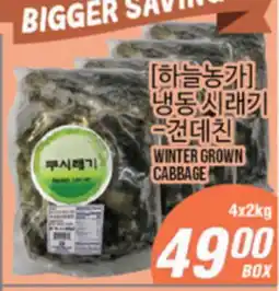 Joong Boo Market WINTER GROWN CABBAGE offer