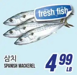 Joong Boo Market SPANISH MACKEREL offer