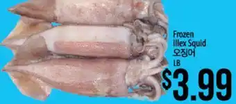 Hmart Frozen Illex Squid offer