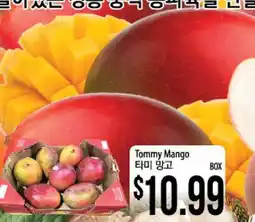 Hmart Tommy Mango offer
