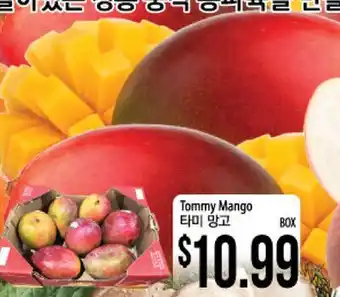 Hmart Tommy Mango offer