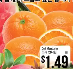 Hmart Orri Mandarin offer
