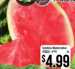 Hmart Seedless Watermelon offer