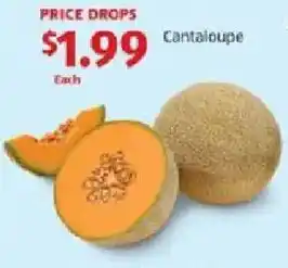 Aldi Cantaloupe offer