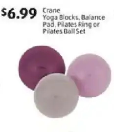 Aldi Crane Yoga Blocks, Balance Pad, Pilates Ring or Pilates Ball Set offer