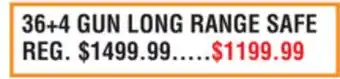 Dunham's Sports 36+4 GUN LONG RANGE SAFE offer