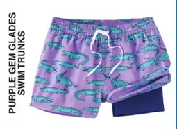 Dunham's Sports PURPLE GEM GLADES SWIM TRUNKS offer
