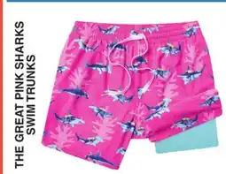 Dunham's Sports THE GREAT PINK SHARKS SWIM TRUNKS offer
