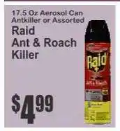 Key Food Raid Ant & Roach Killer offer