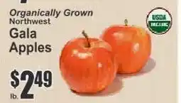 Key Food Gala Apples offer