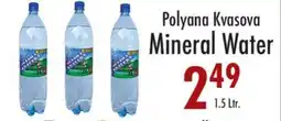 Garden Fresh Market Polyana Kvasova Mineral Water offer