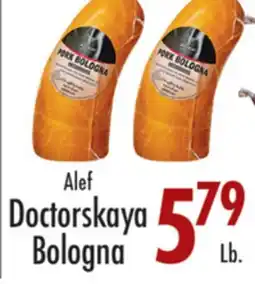 Garden Fresh Market Alef Doctorskaya Bologna offer