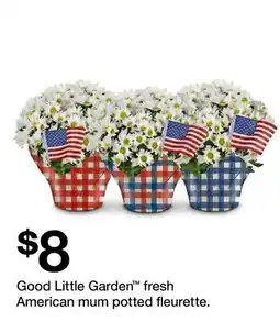 Target Good Little Garden fresh American mum potted fleurette offer