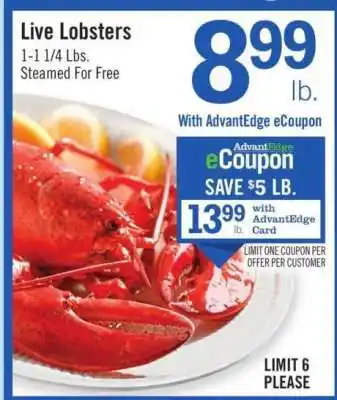 Live Lobsters