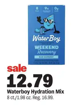 Meijer Waterboy Hydration Mix offer