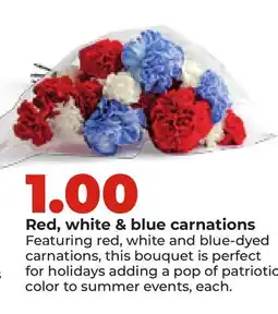 Hy-Vee Red, white & blue carnations offer