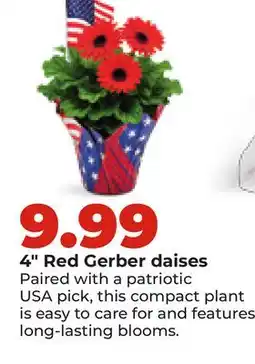 Hy-Vee 4 Red Gerber daisies offer