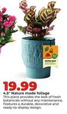 Hy-Vee 4.5 Nature made foliage offer