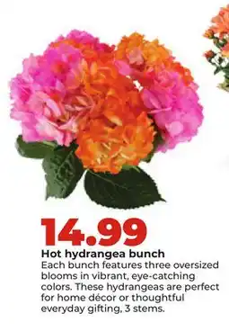 Hy-Vee Hot hydrangea bunch offer