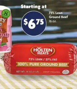 Family Dollar Holten Meats 73% Lean Ground Beef offer